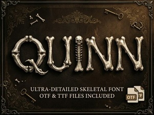 Quinn Font: Creative Design and Usability Guide